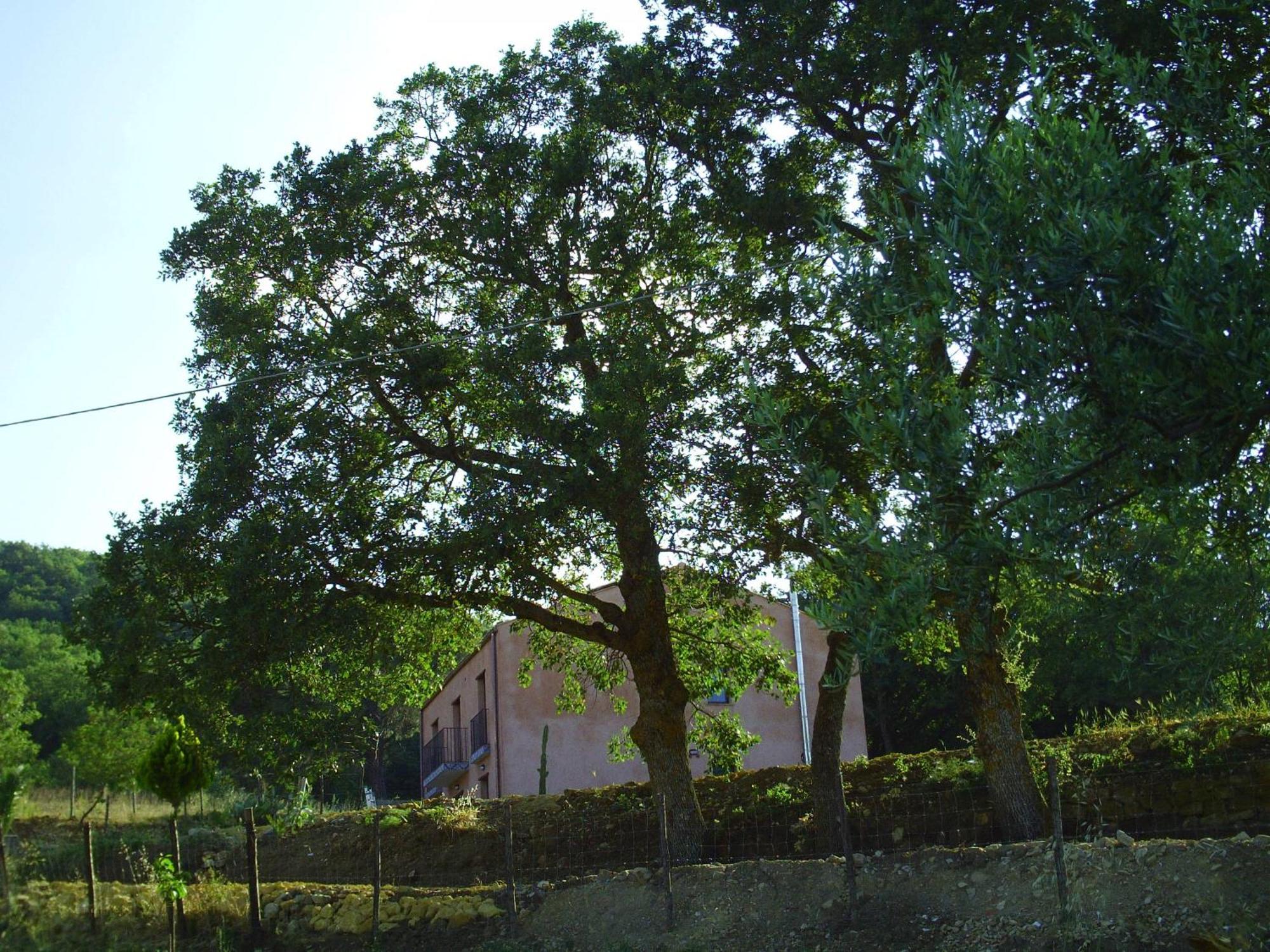 Agriturismo San Pietro Gangi Exterior photo
